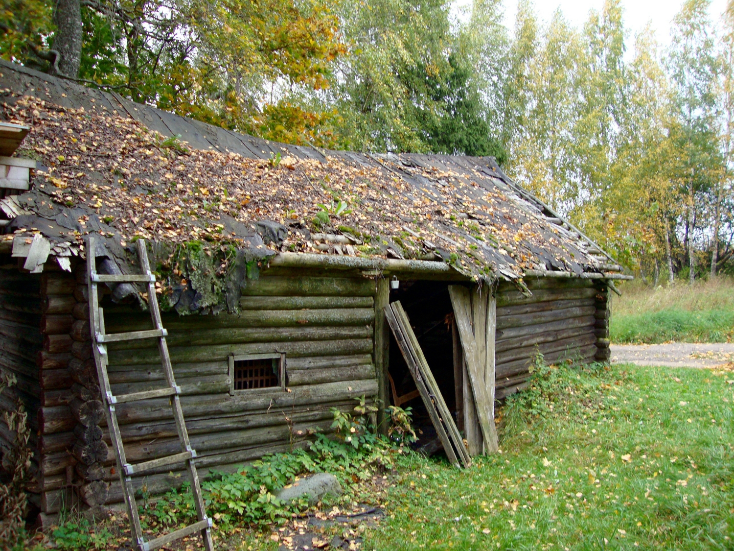 Осень  деревни.