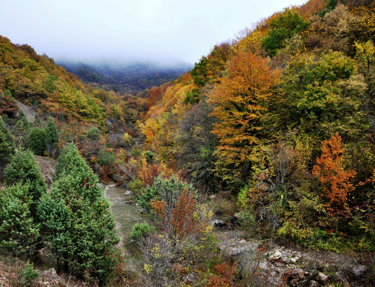 Осенняя палитра