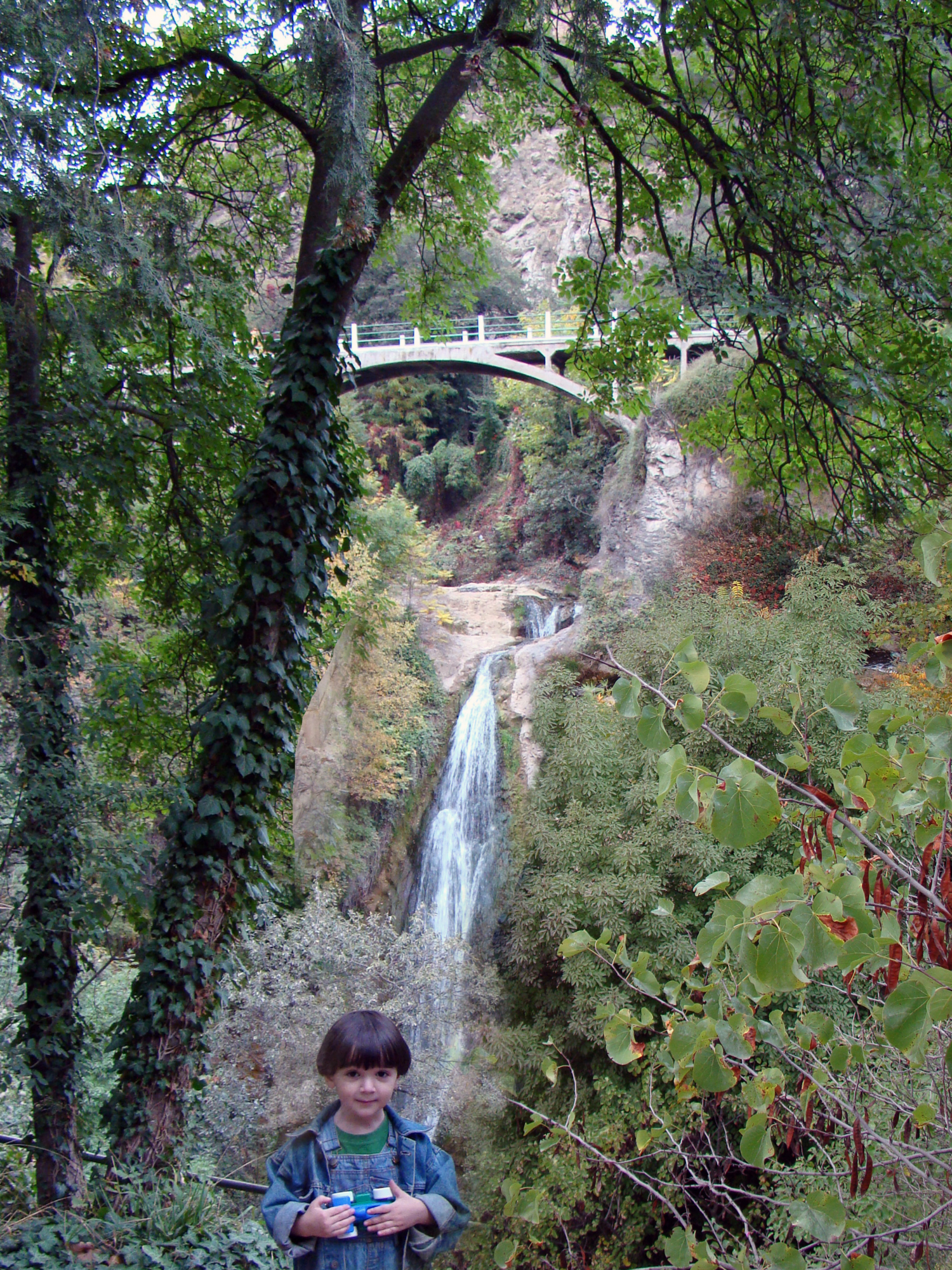 мост над водопадом