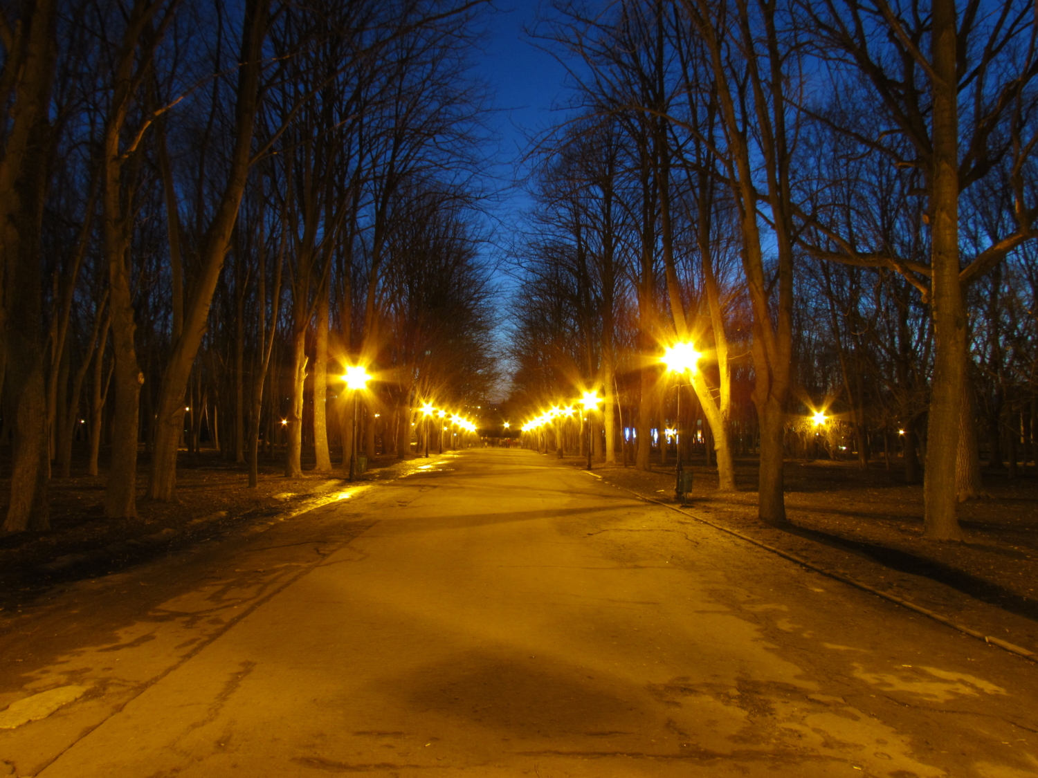 ночной парк