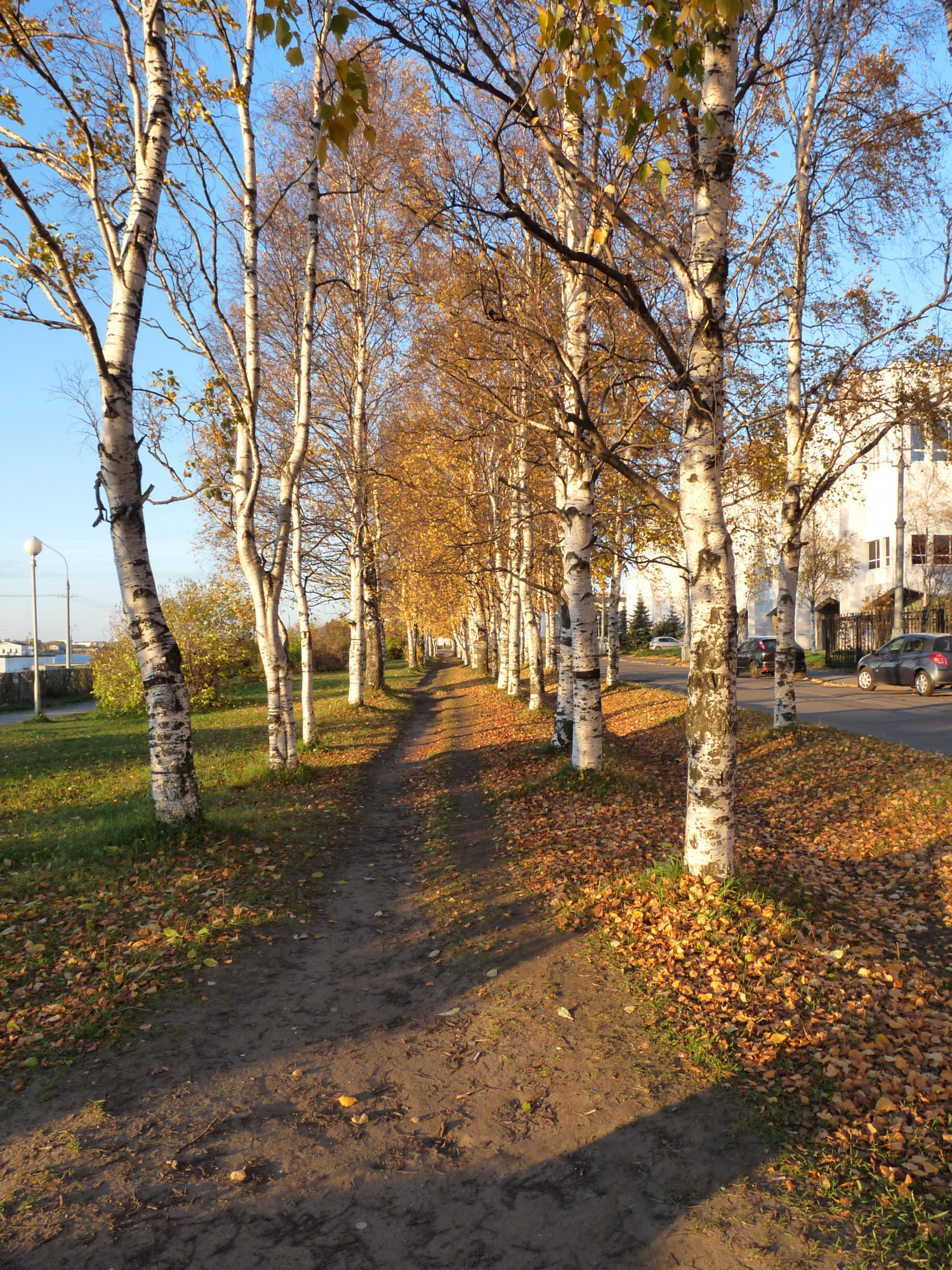 Осень в Архангельске