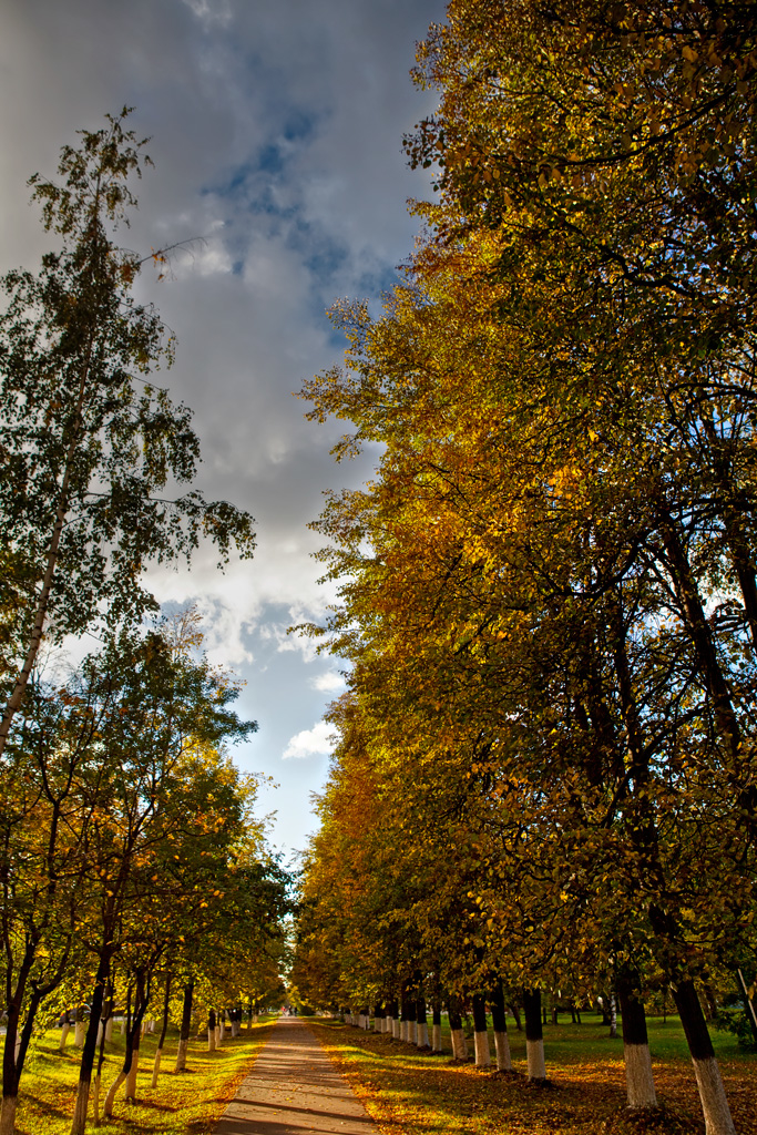 Три осени. Осень первая