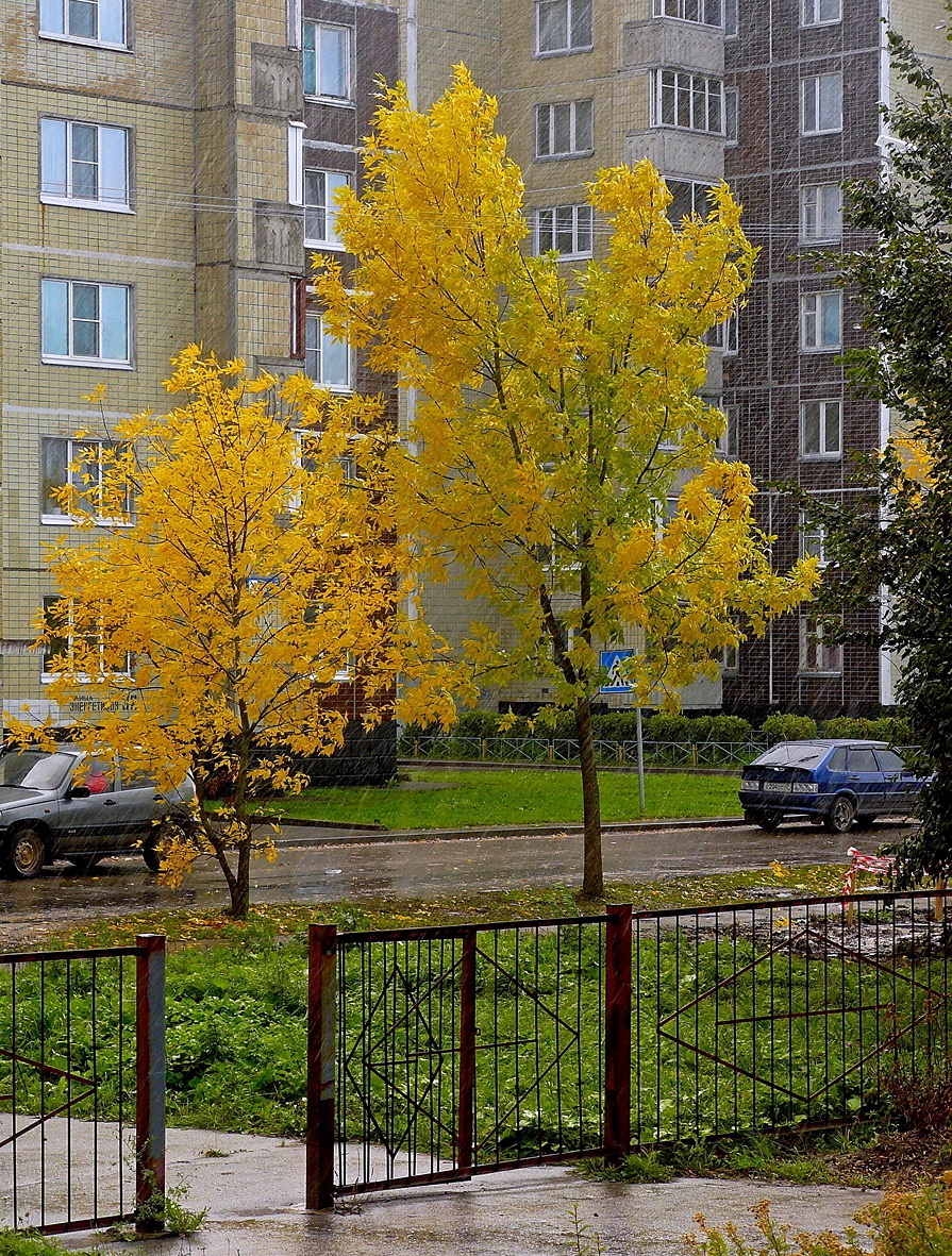 В нашем городе-осень..