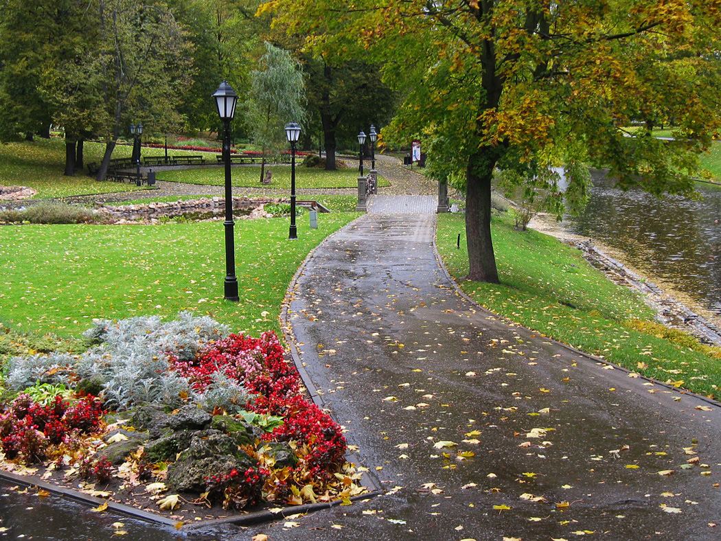 В осеннем парке