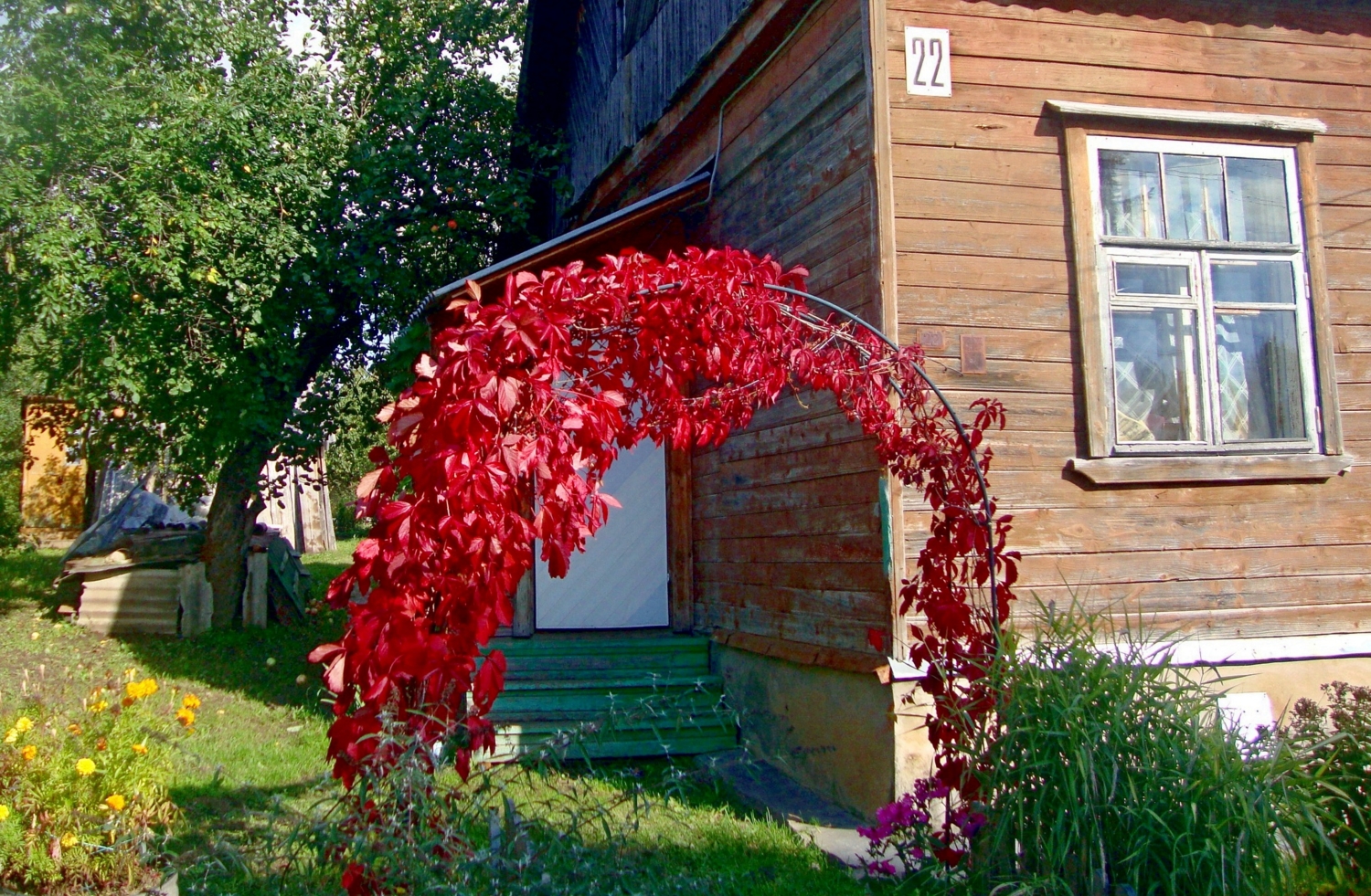 Багрянец листьев осени.