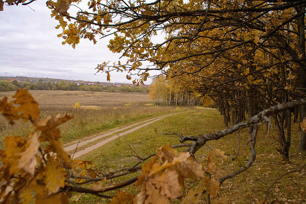 Золотая осень