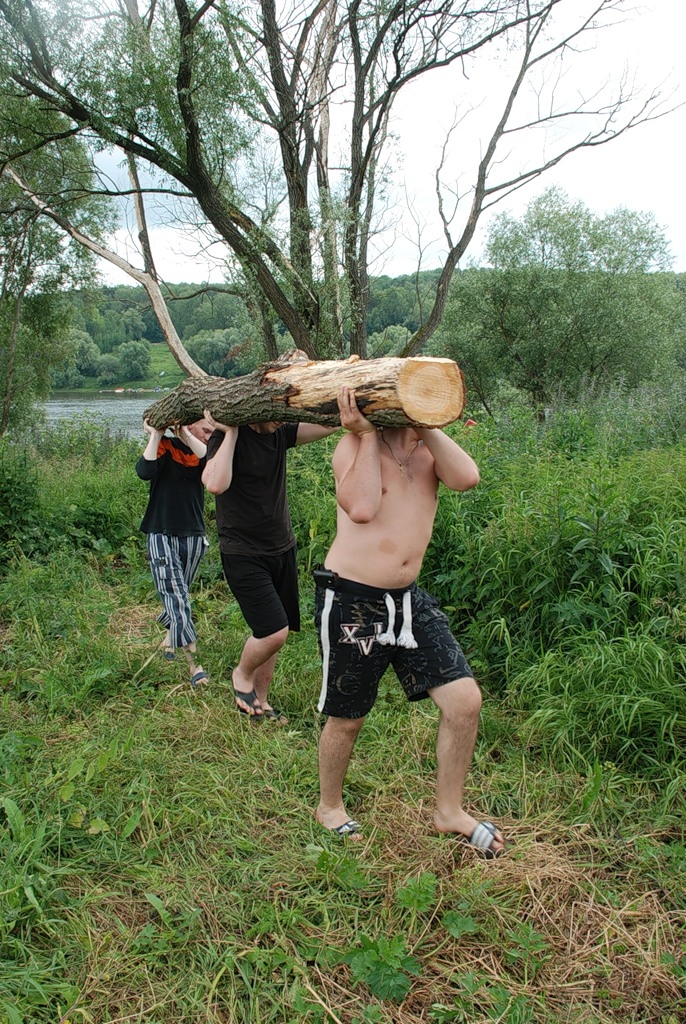 Будующие дрова