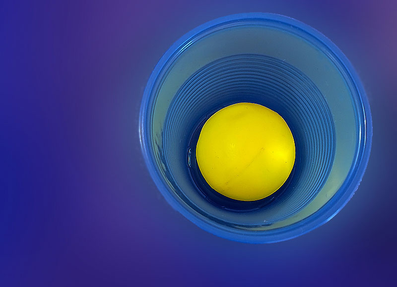 Яйцо синей птицы