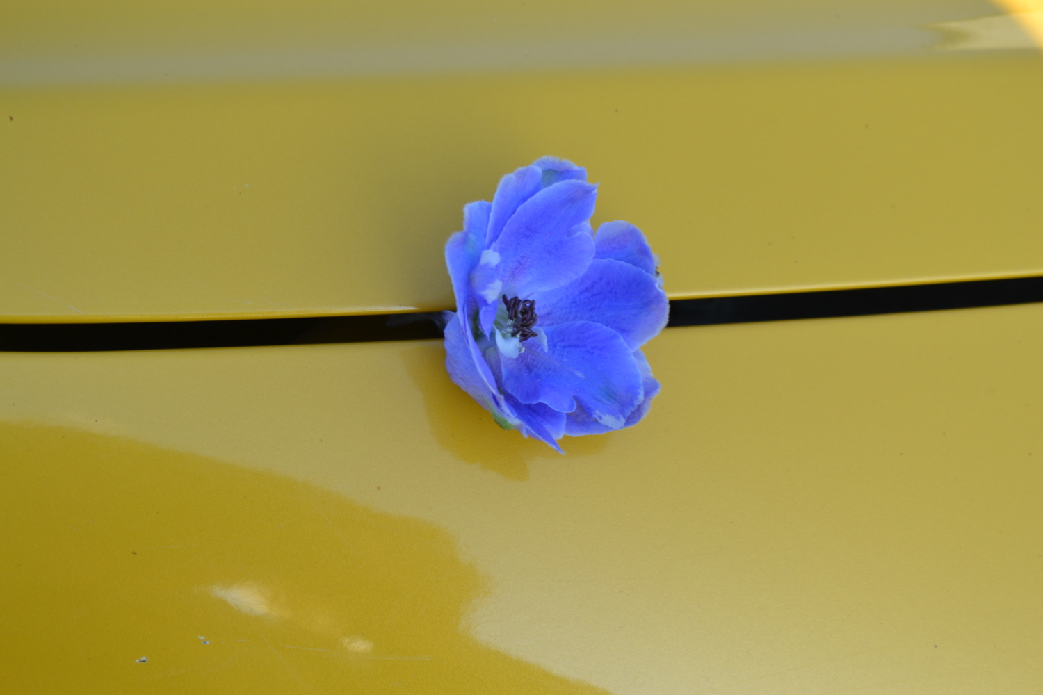 Моя  машина