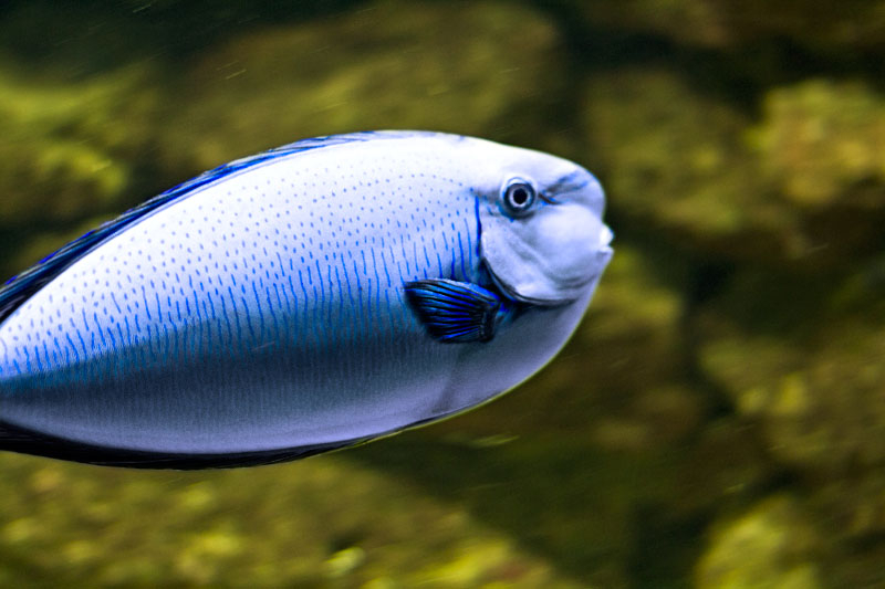 На прогулке