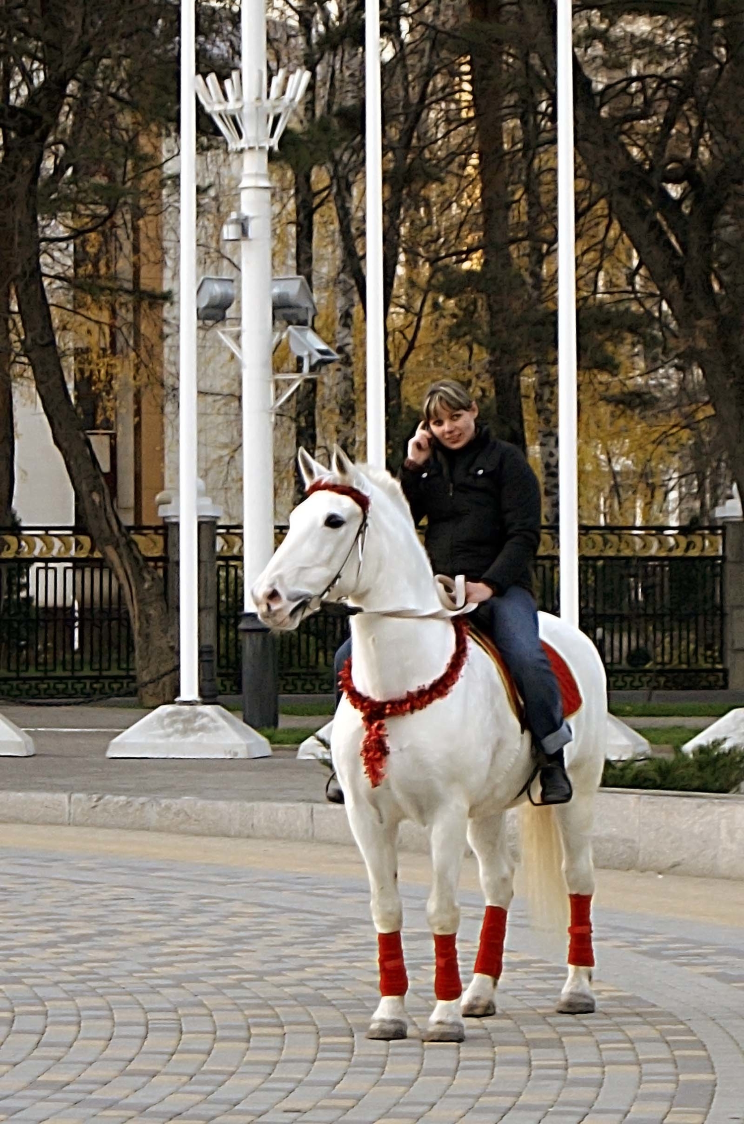 Мы вас слушаем!