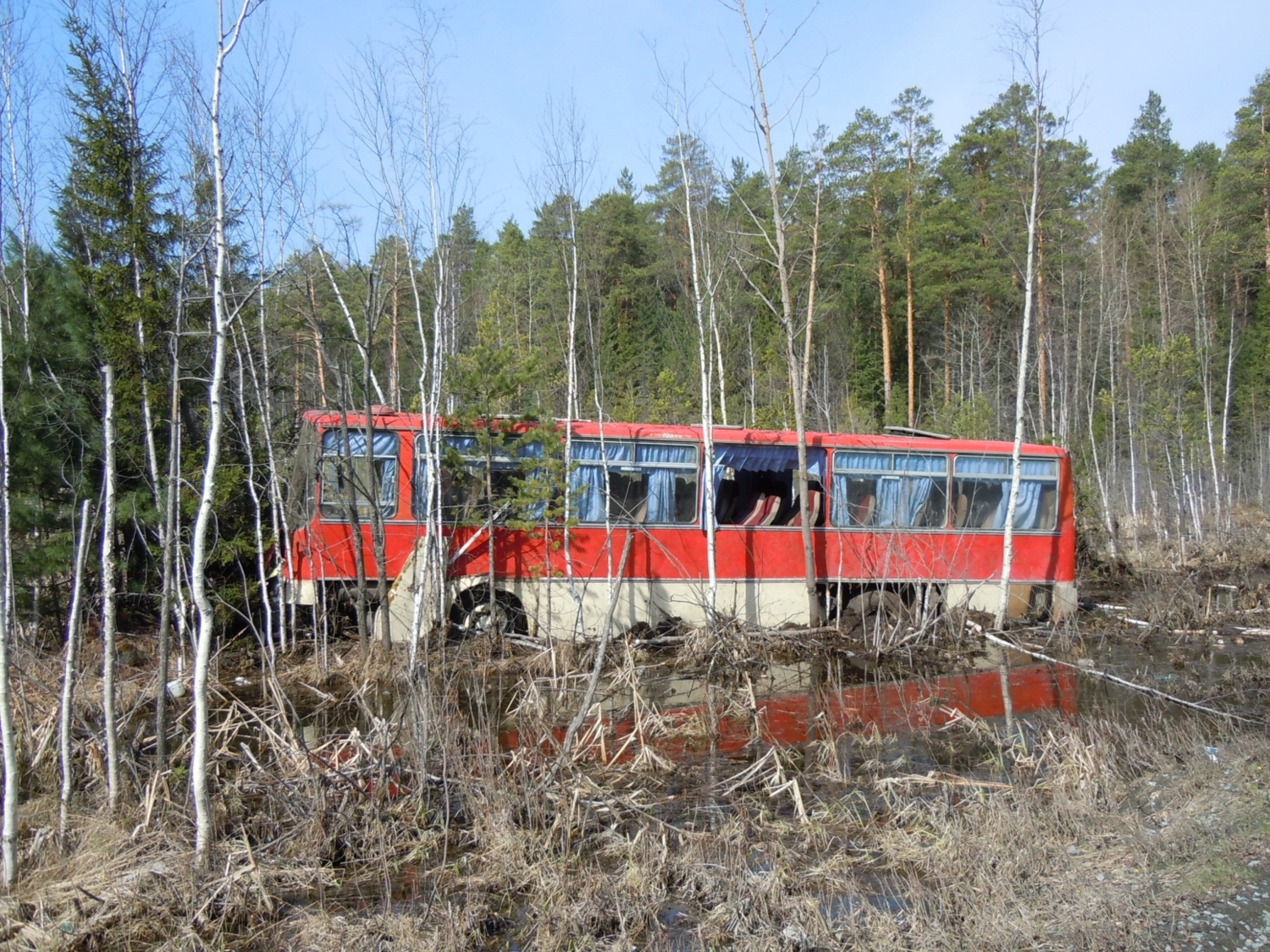 Болото