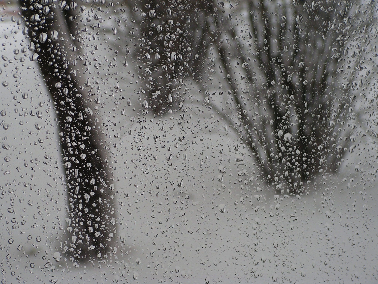 Мокрый снег за окном