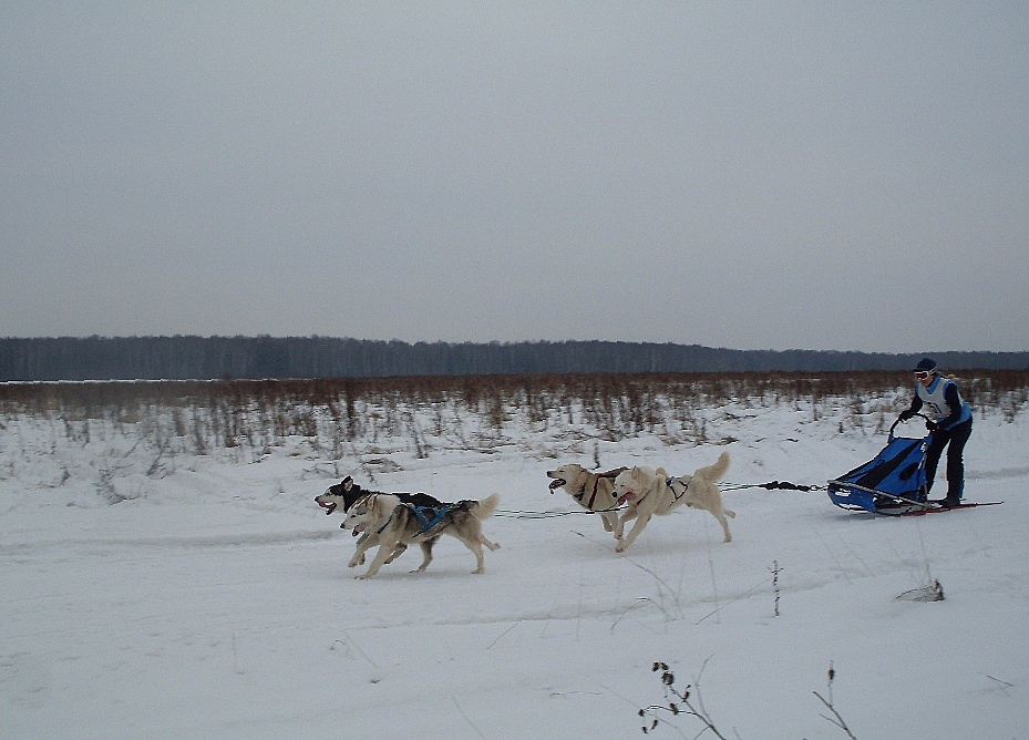 В полях...