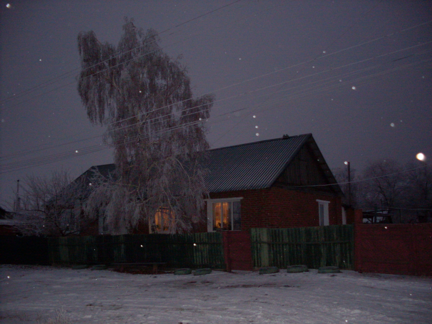 Белая береза под ночным окном