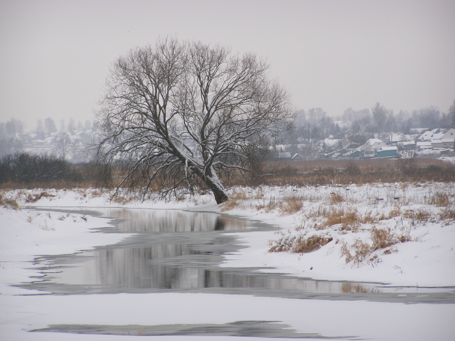 зима у реки