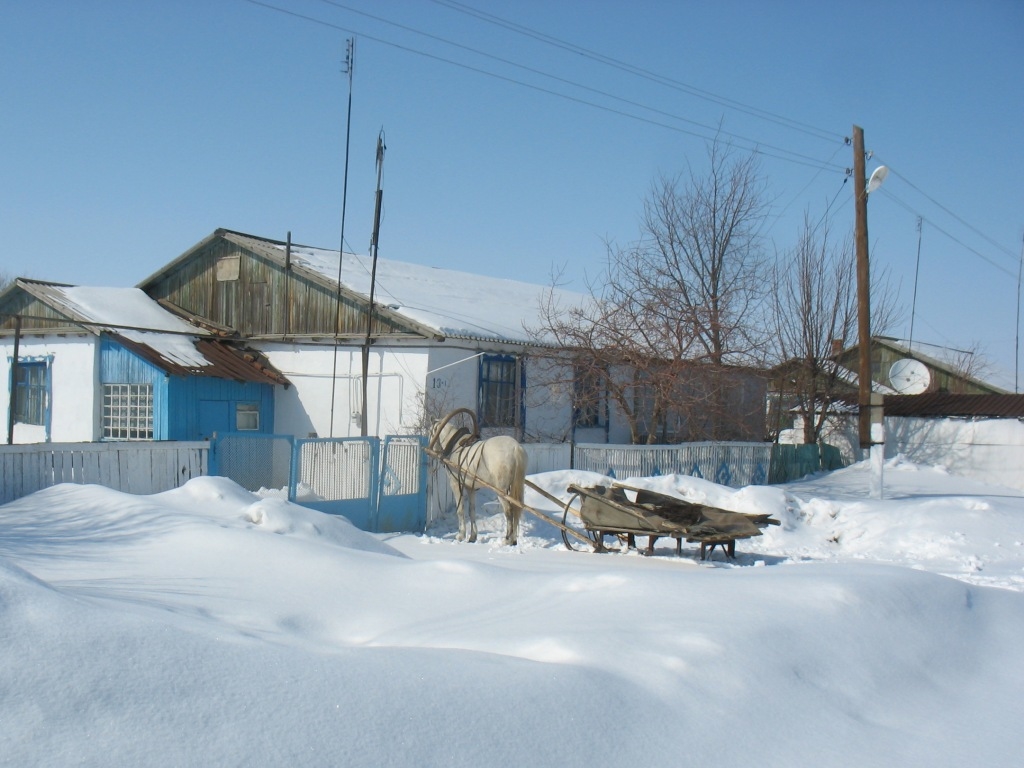 В гости