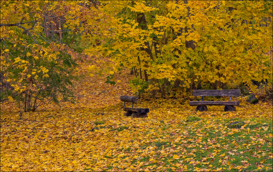 Присядем на скамейку к осени