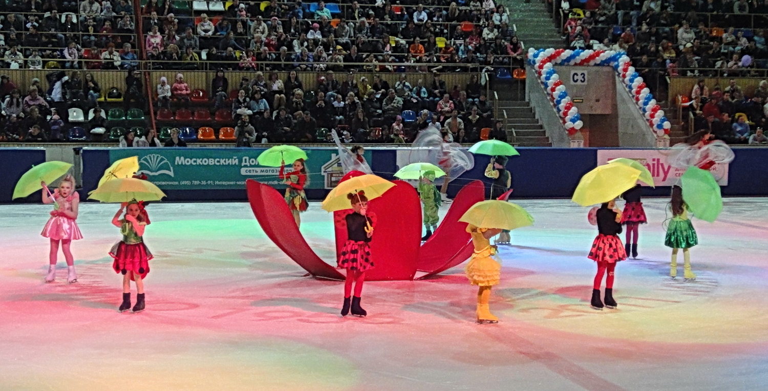 Из жизни насекомых  :)))