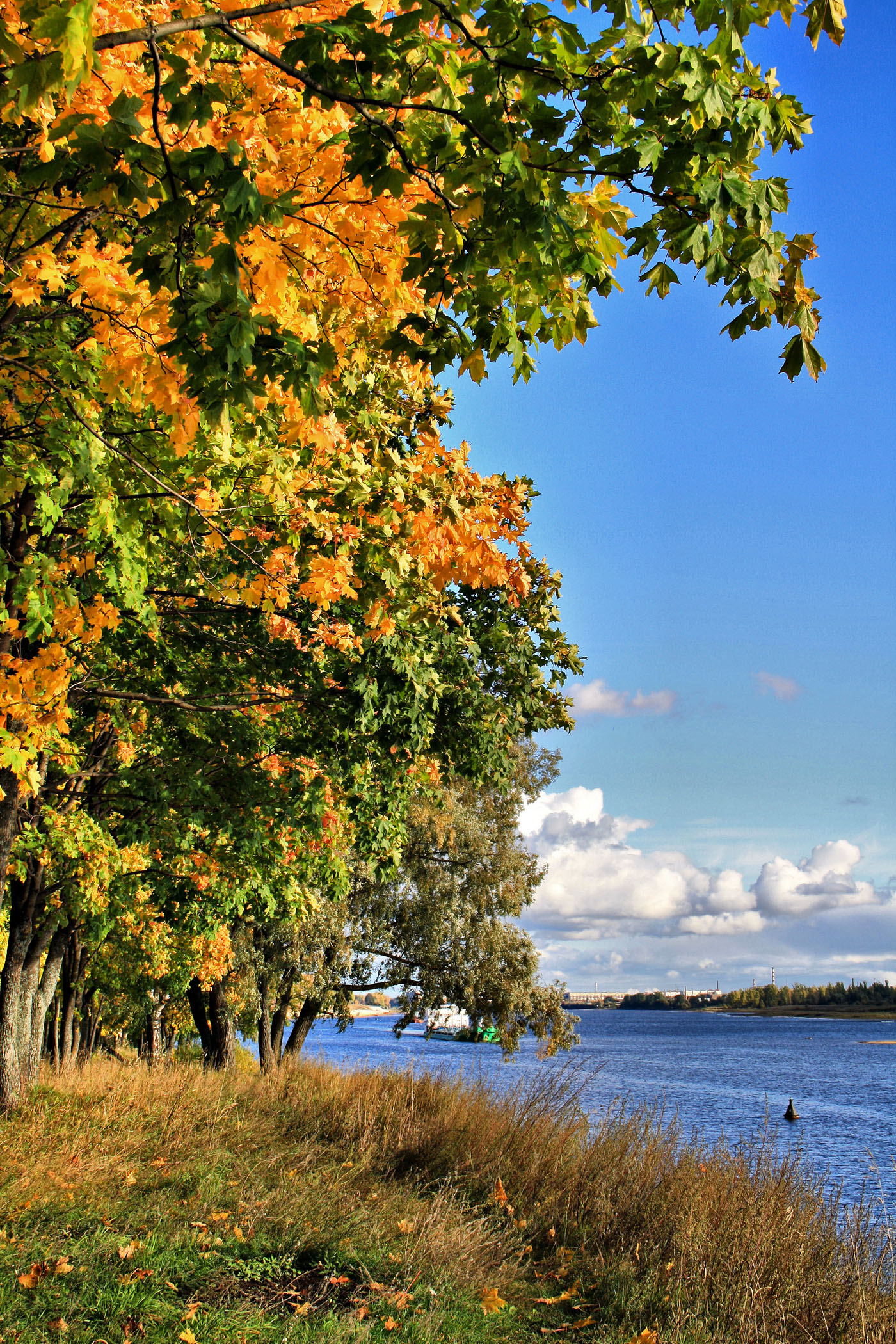 Солнечная осень