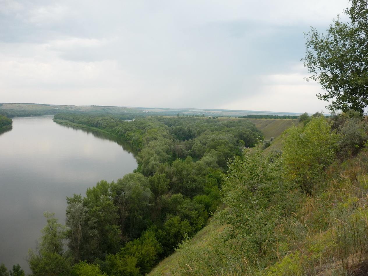 Вдоль берега Дона