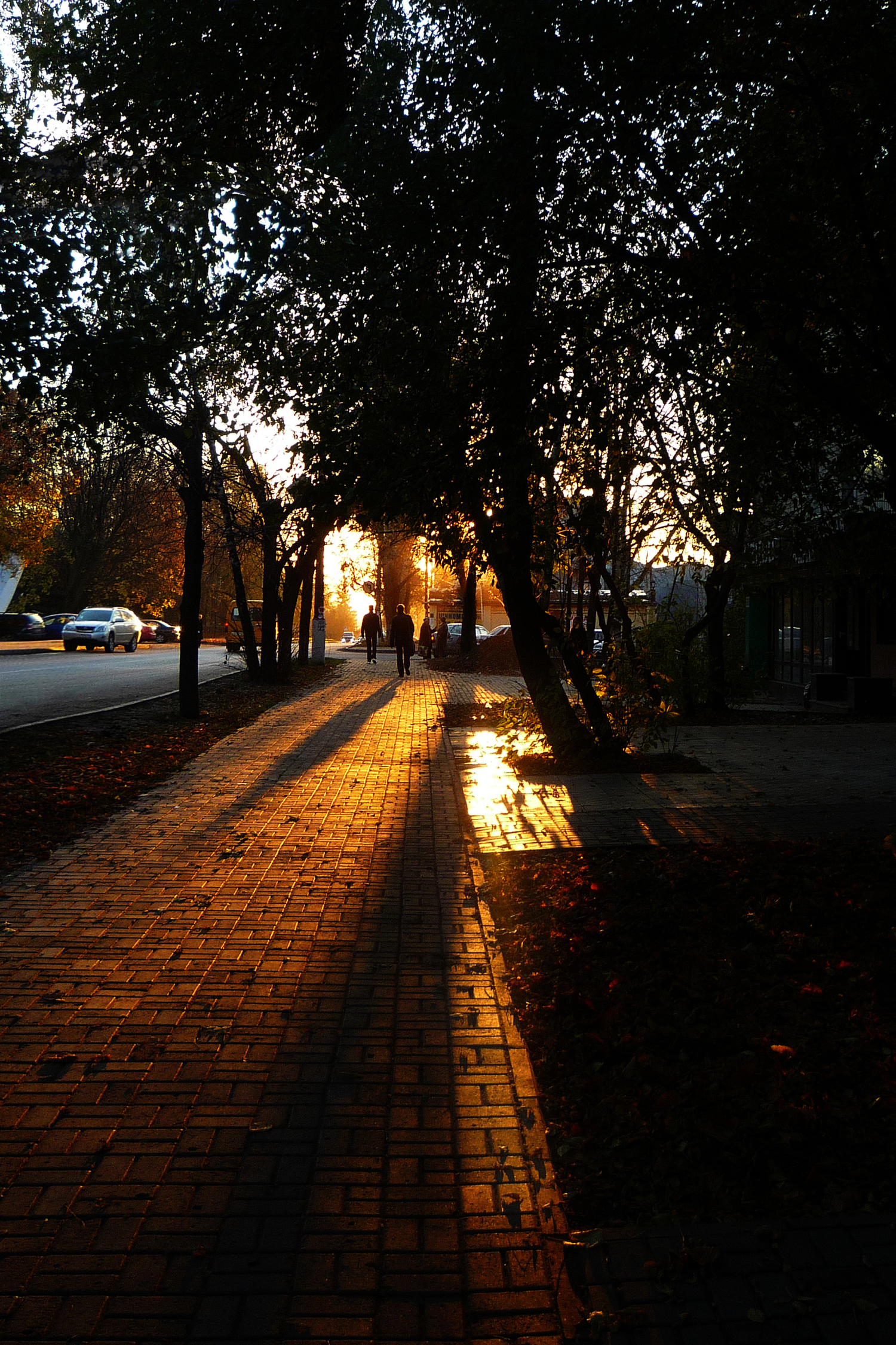 Королевская плитка