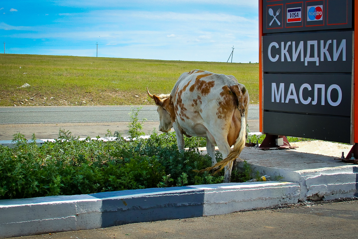 Без рекламы никуда!