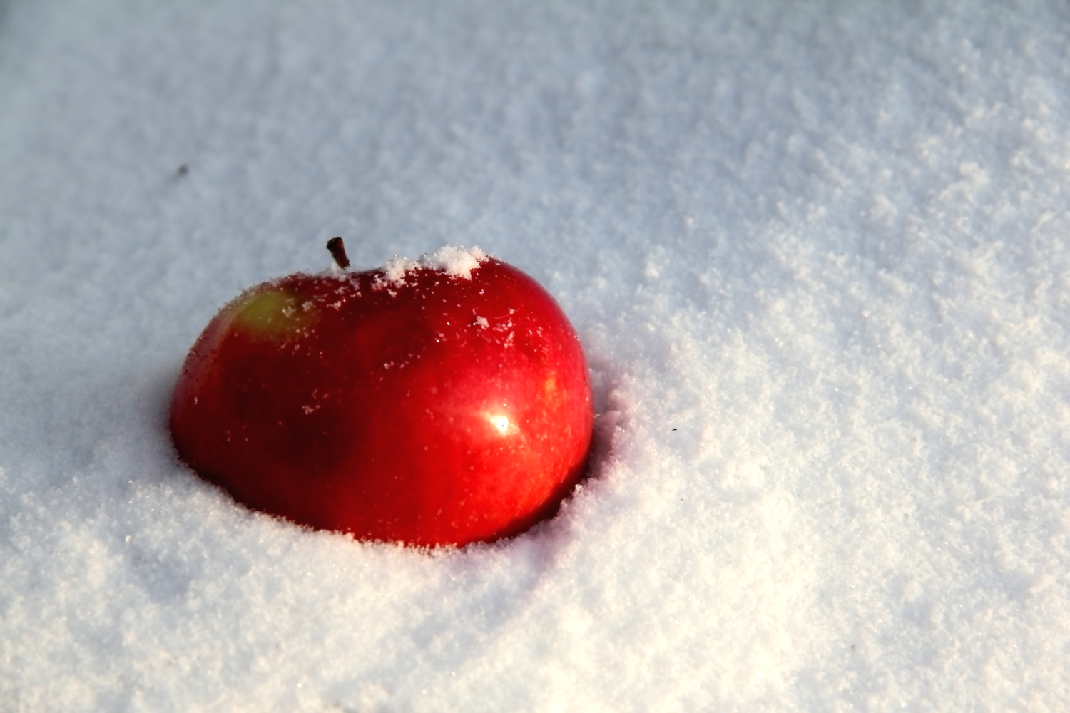 Яблоки на снегу( М.Муромов)