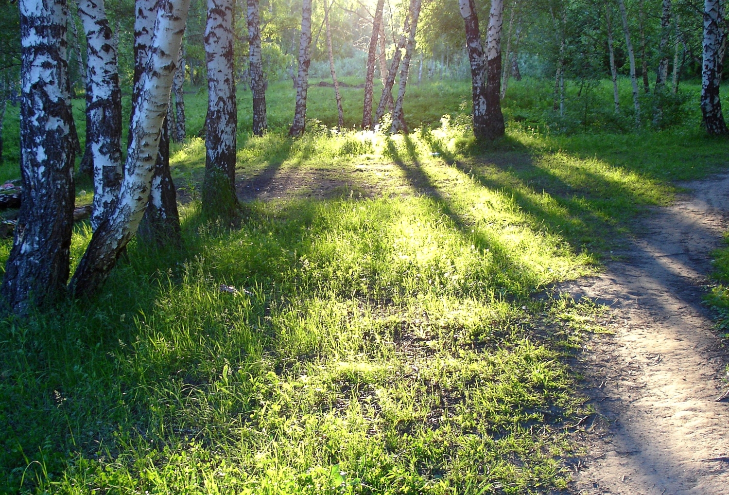 В парке.