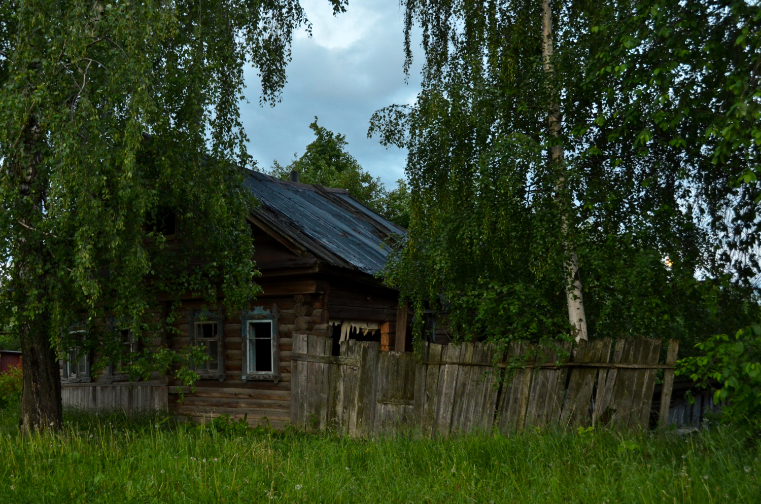 И в огороде выросла березка