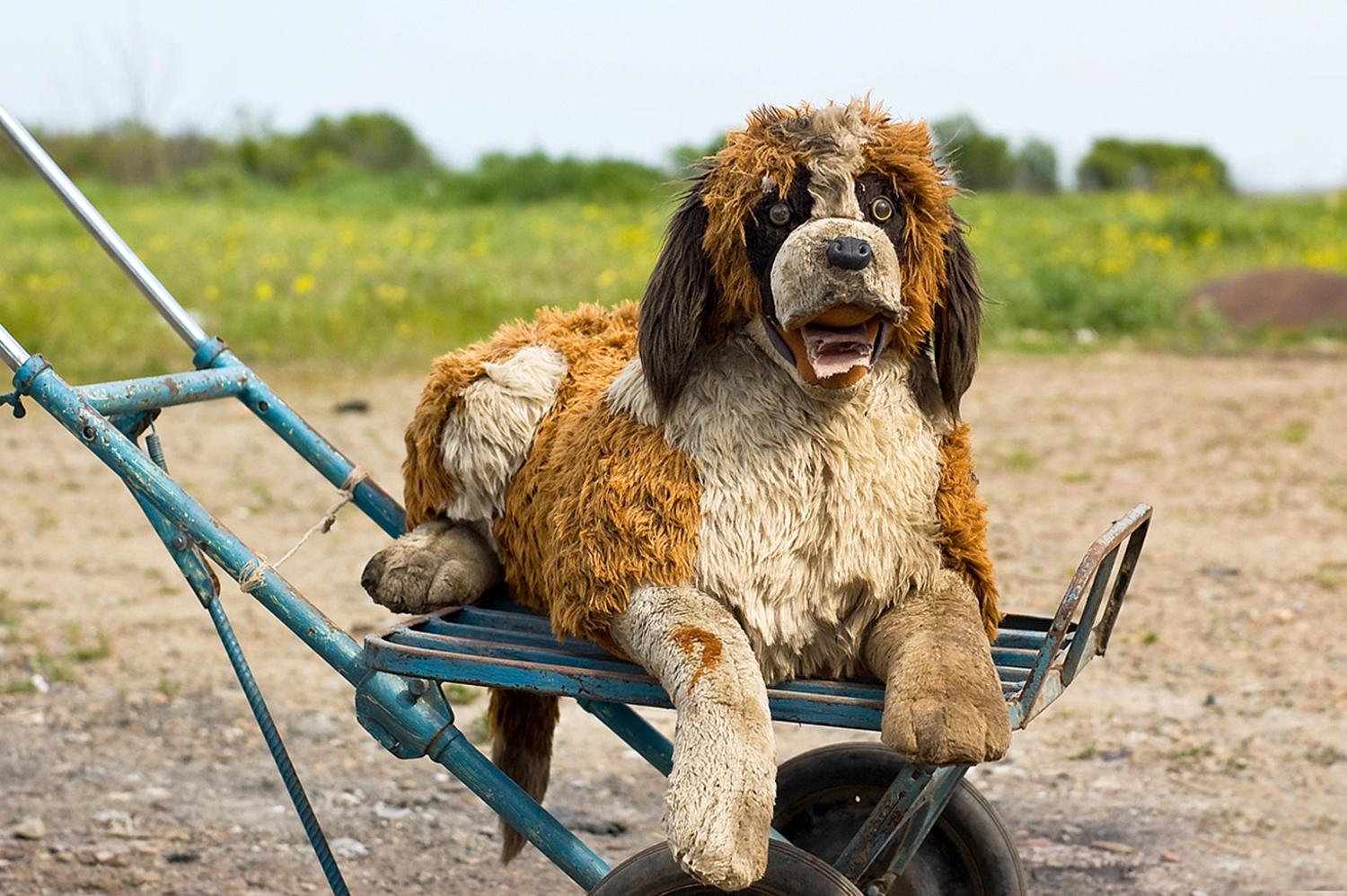 Преданность и предательство