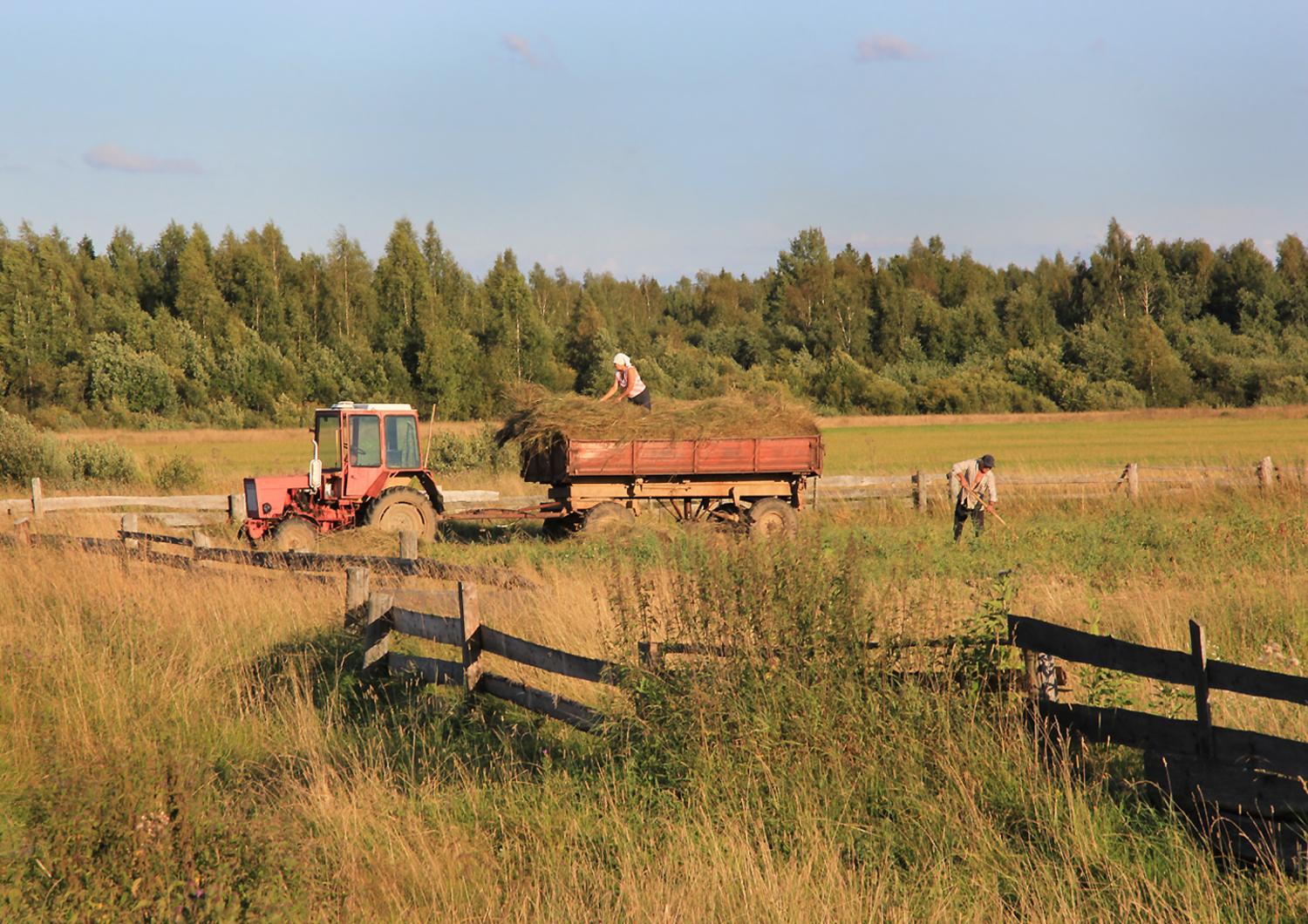 Сенокосная пора