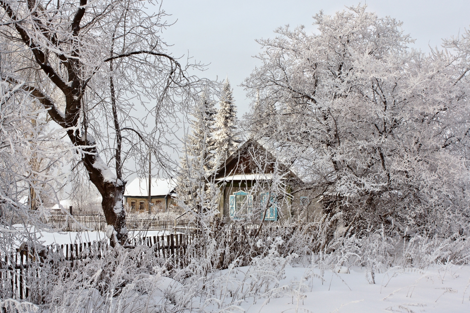 накрыло снегом, точно серебром