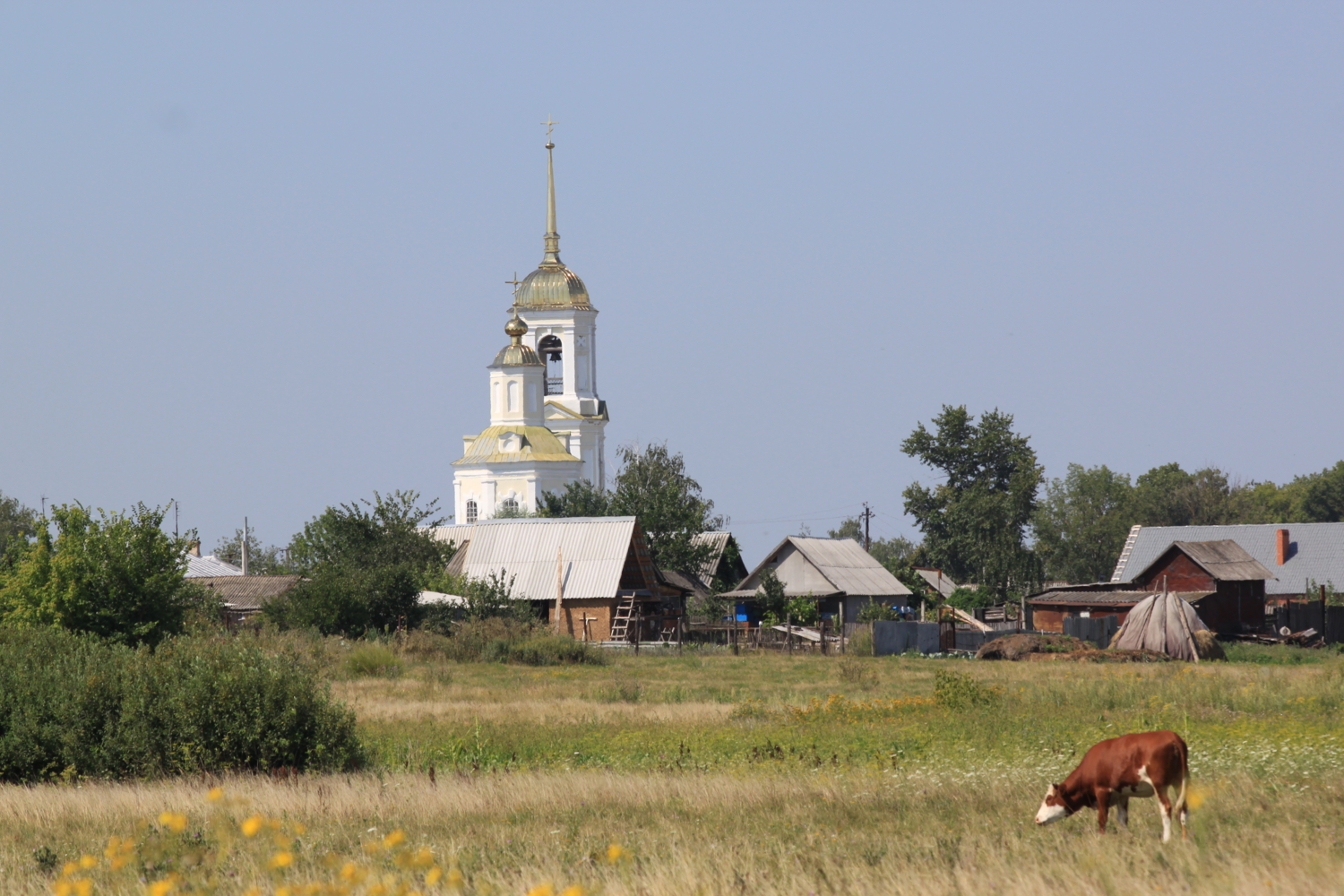 Летом в деревне.