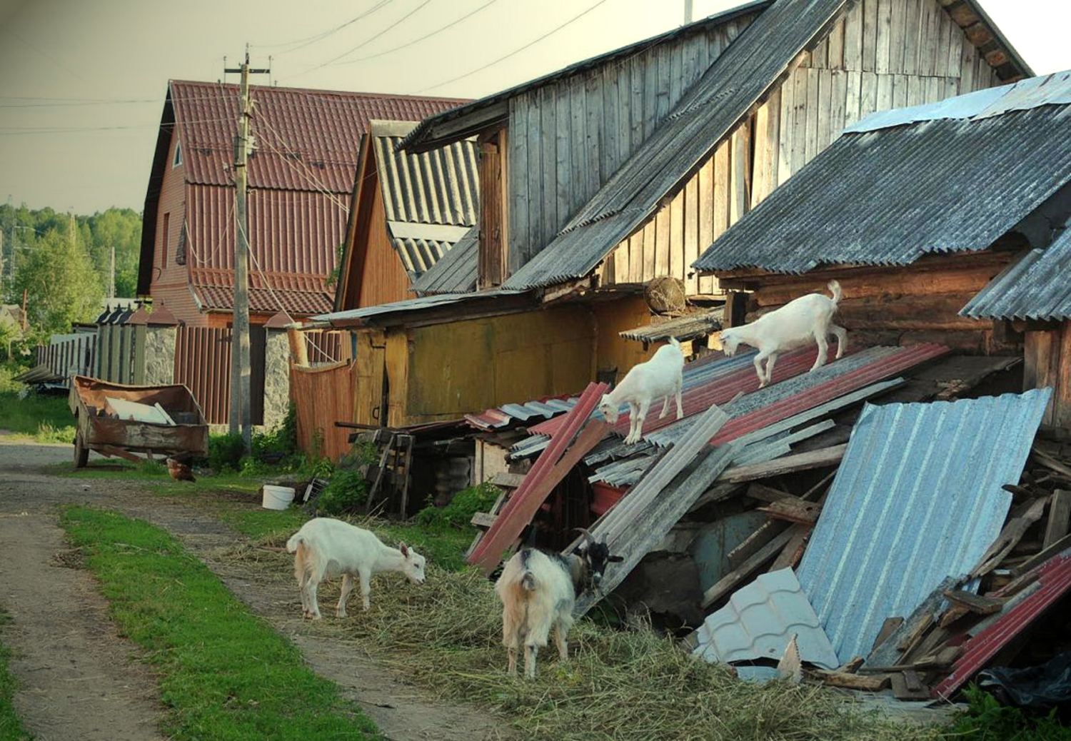 Козочки