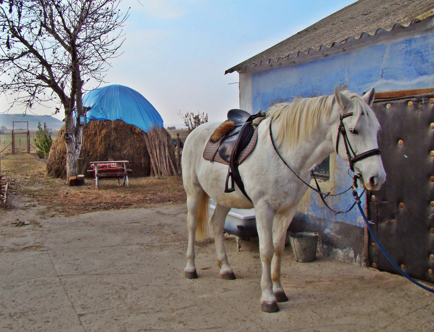 Снова осень...