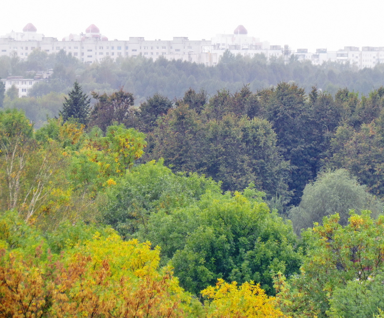 Город наступает.