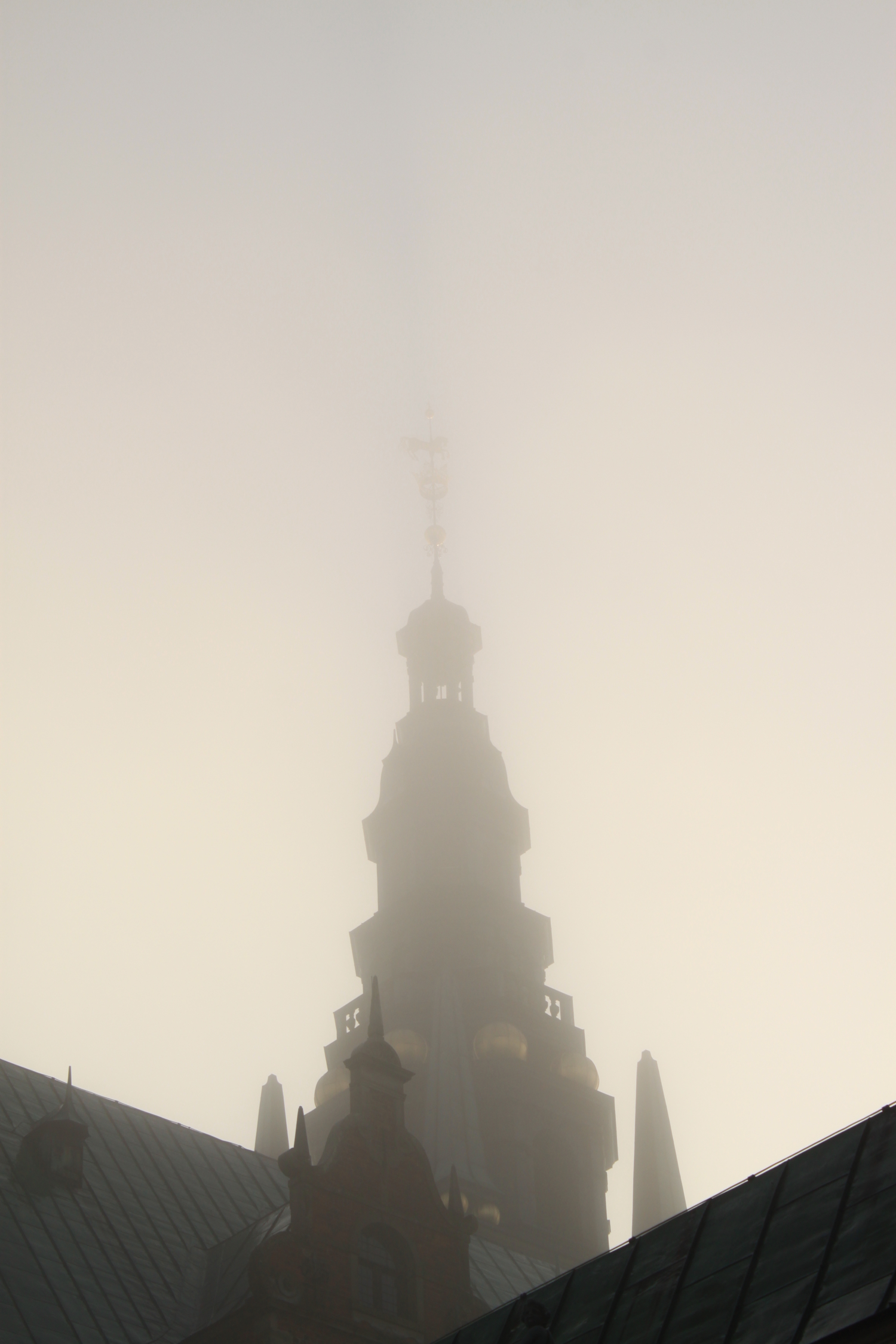 Туманное утро в Фредериксберге