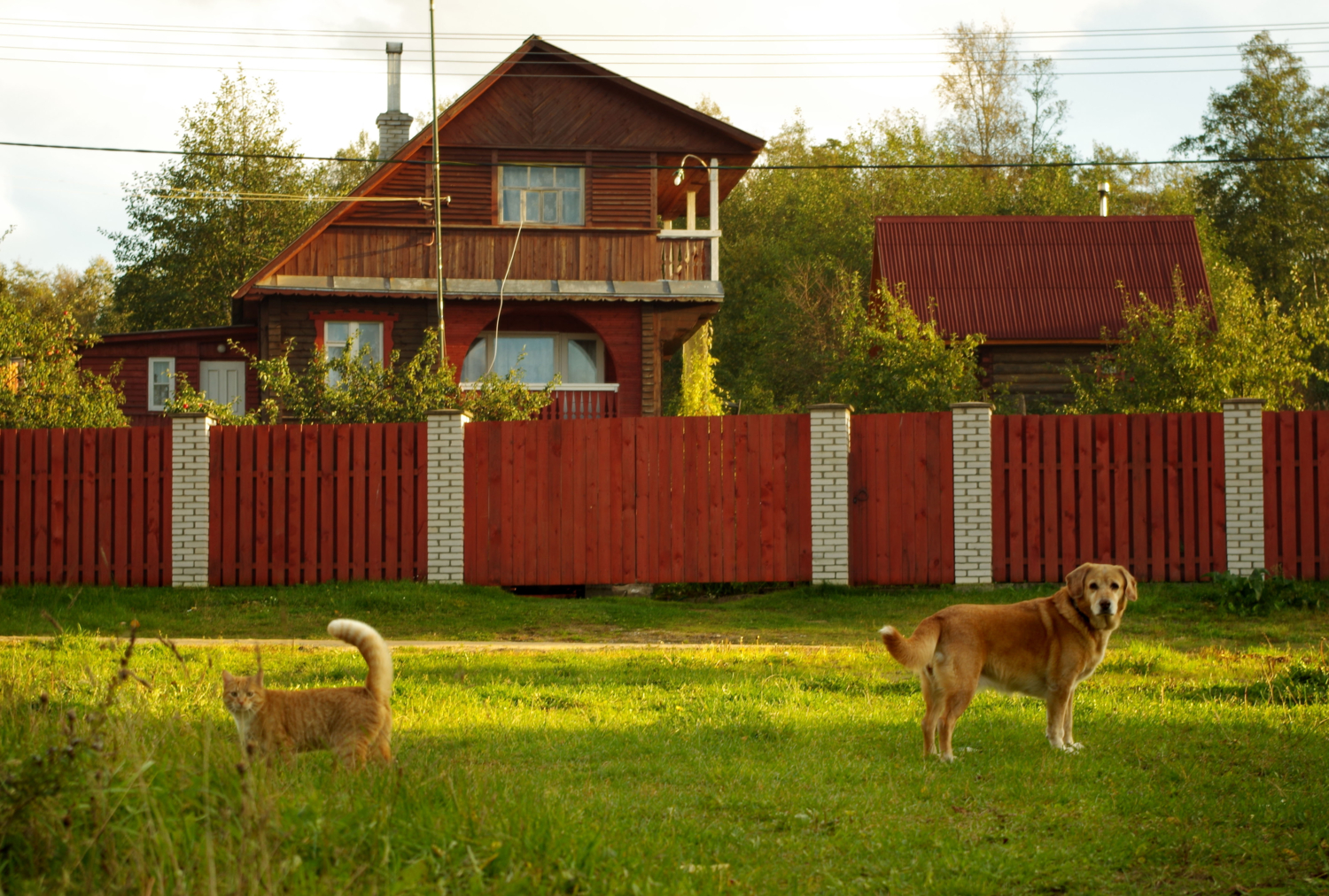"Завтра на том же месте"