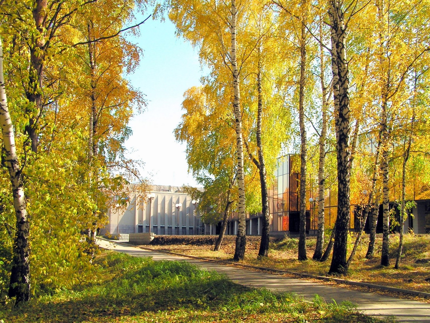 Осень в Академгородке