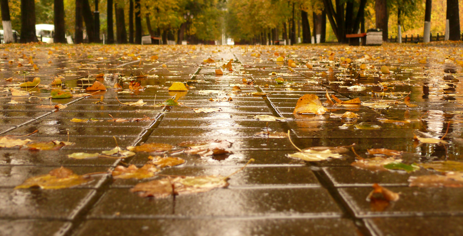 Осень шла по тротуару