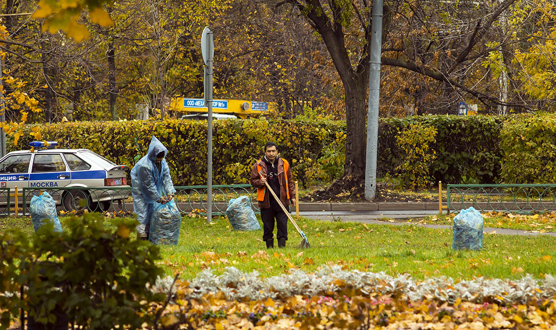 Листопад в городе