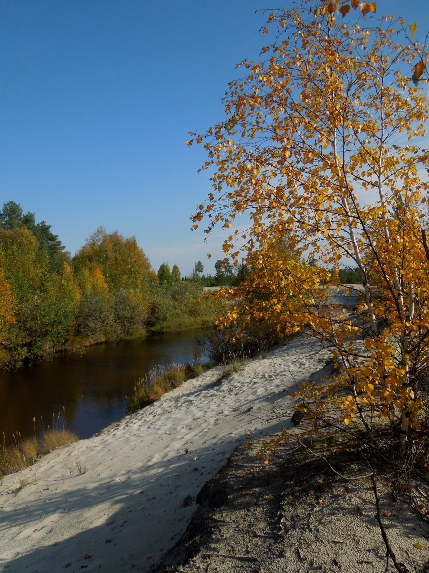 У реки