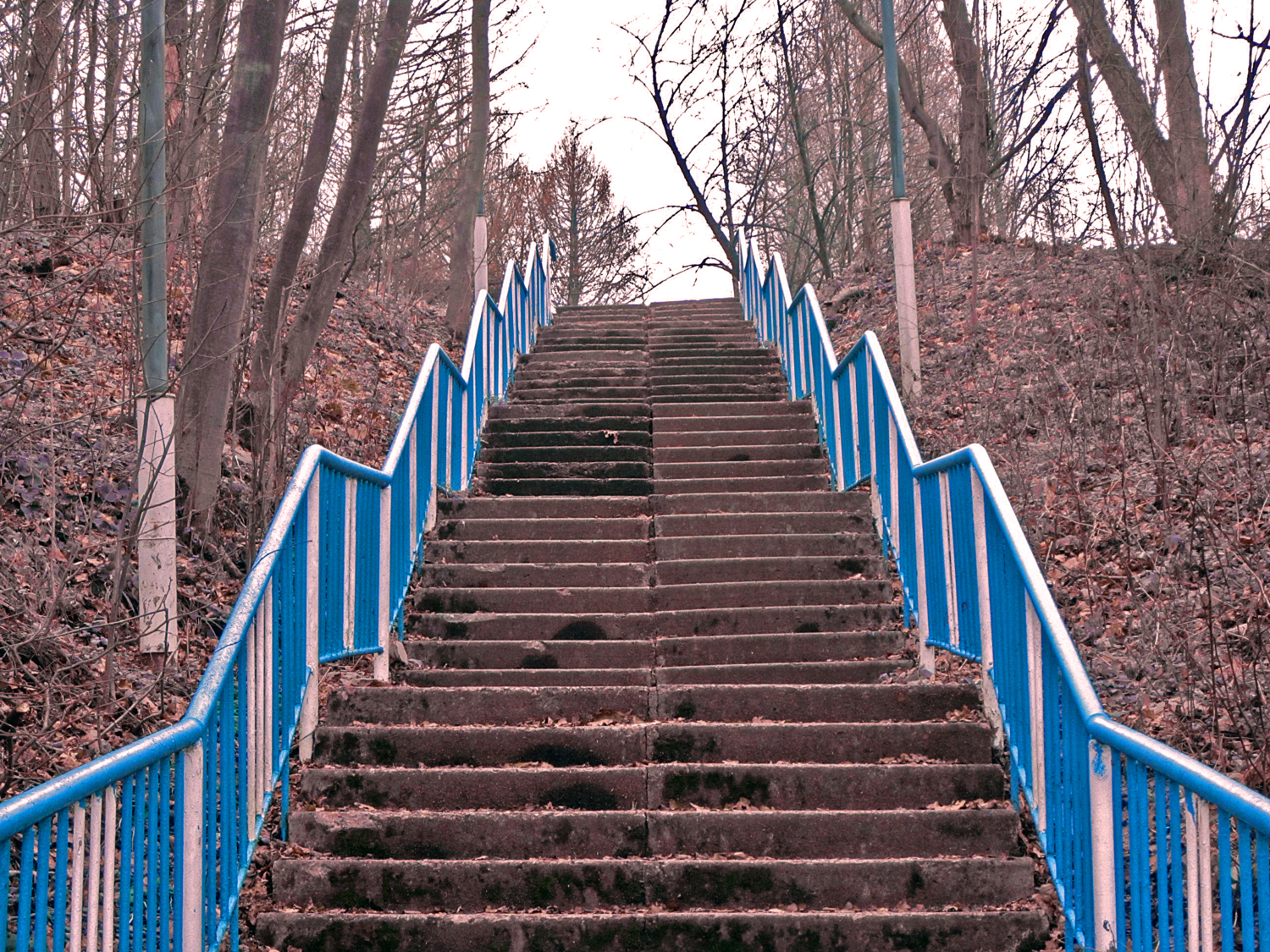 Зима не за горами