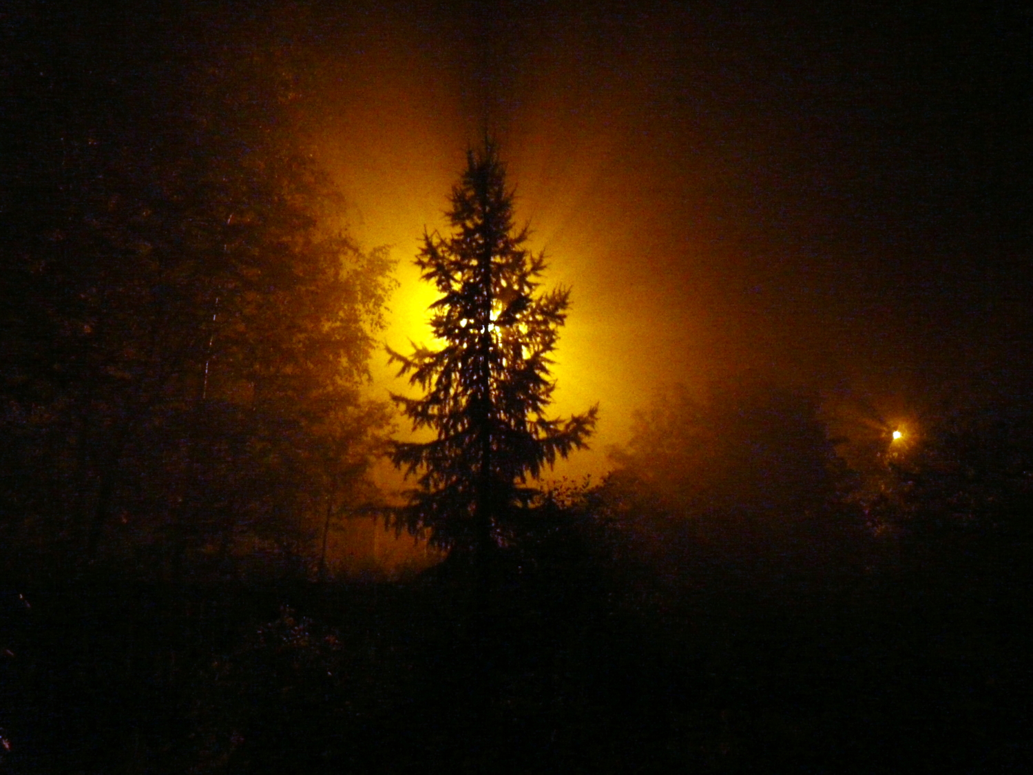 туман, улица, фонарь