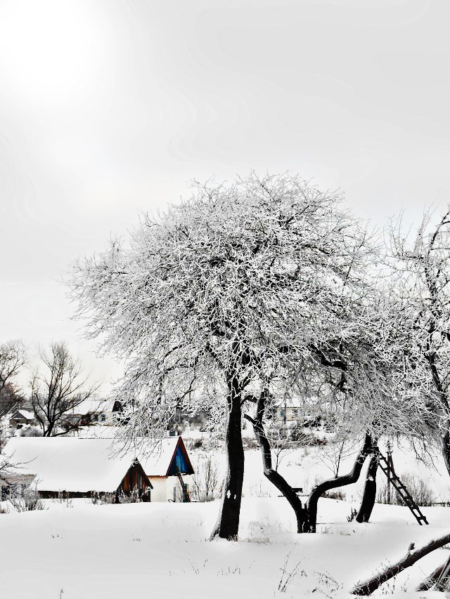 "Зима в деревне"
