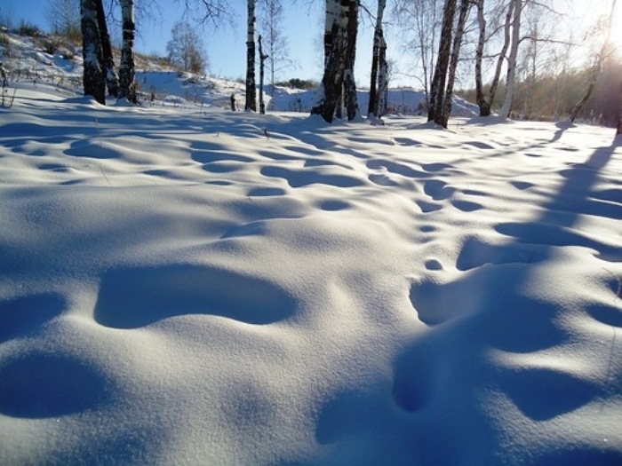 новогодний снег