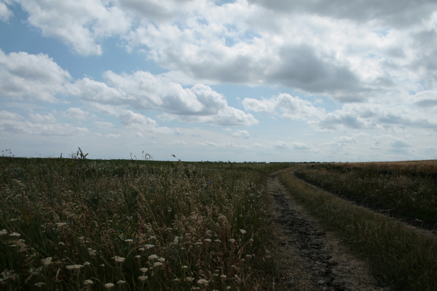 Дорога в облака