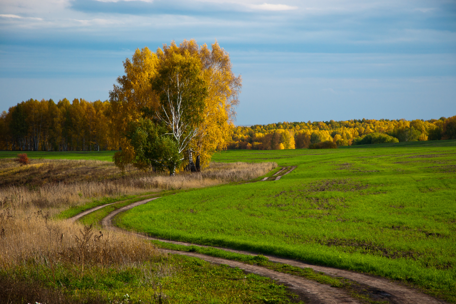 По дороге в осеннюю сказку.