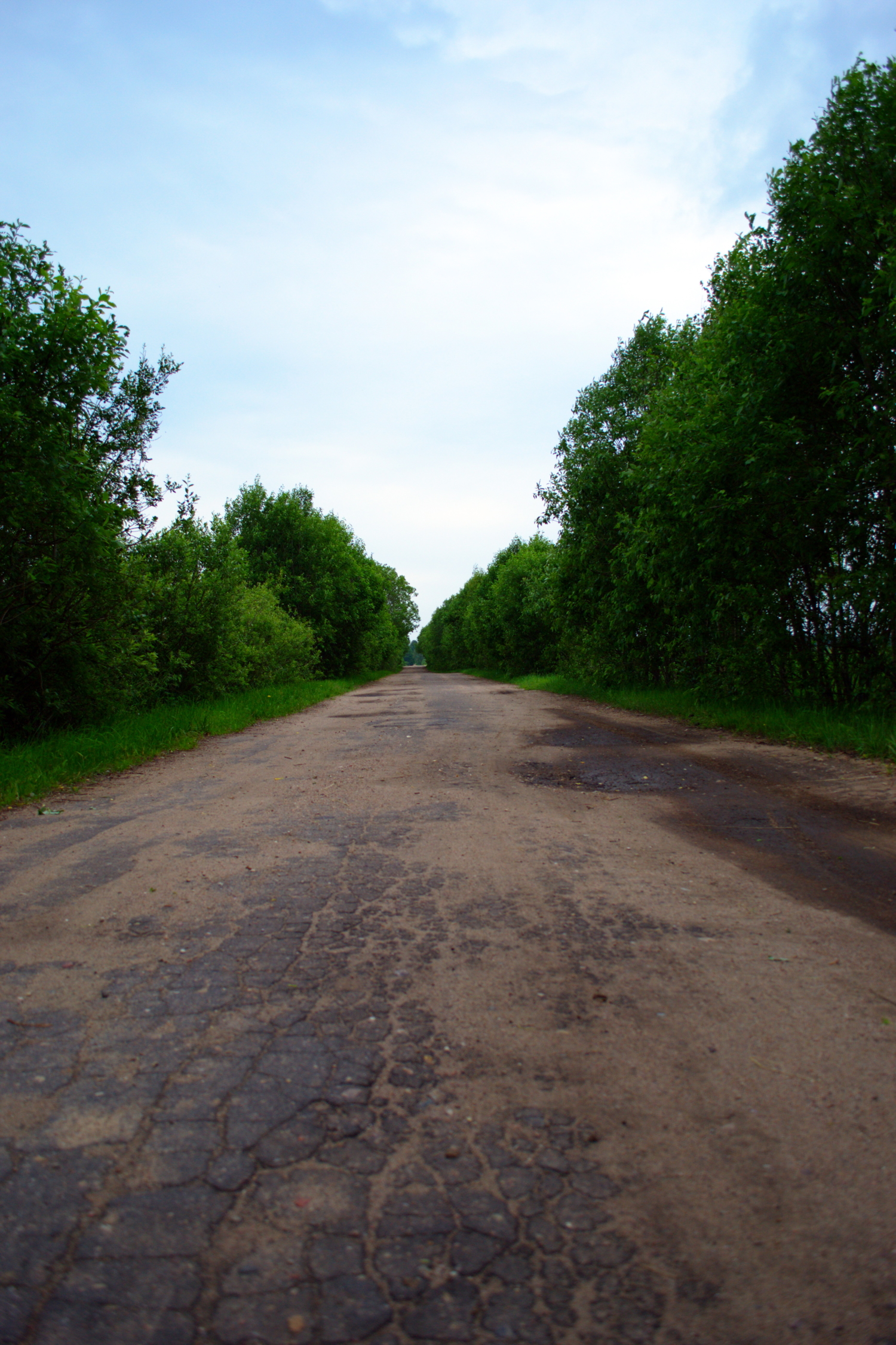 Прямой путь в яркое будущее